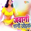 About Jawani Pani Chhodta Song